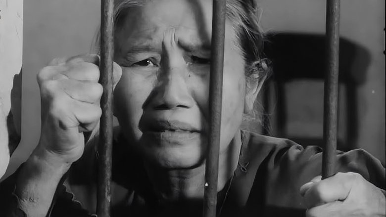 Chiều Xuân