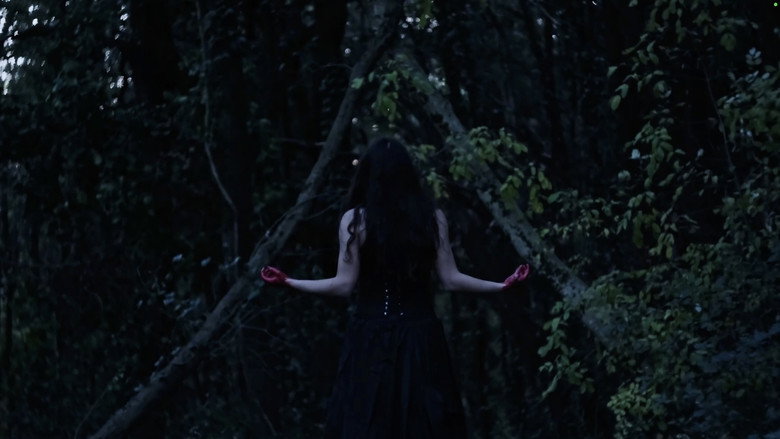 Il Sogno di Adelchi backdrop 5