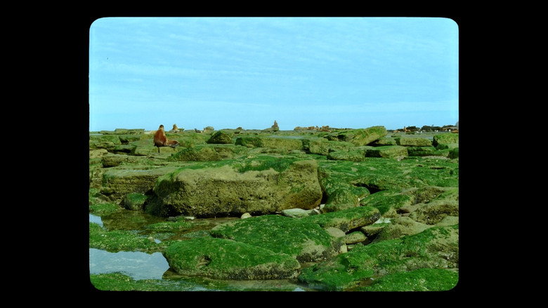 Jauja backdrop 6