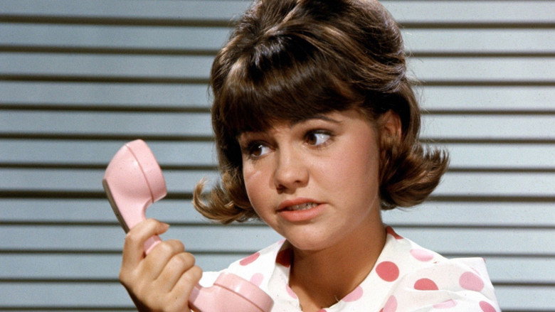 Gidget backdrop 2