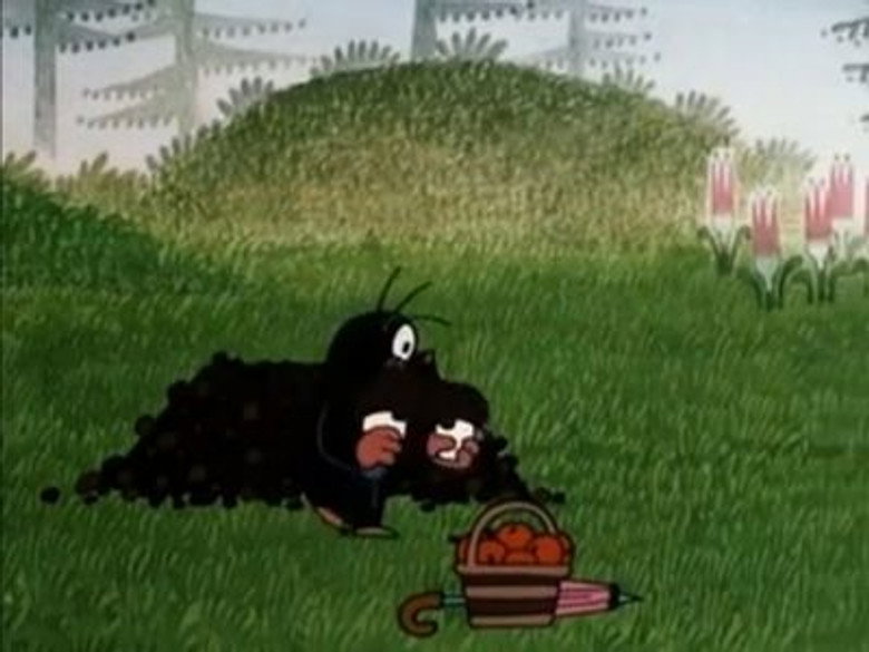 /aIB9GNa5JNc1CuX0eDKGdFWyZHc.jpg