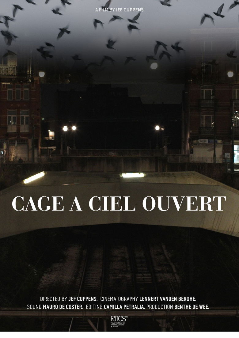 Cage À Ciel Ouvert