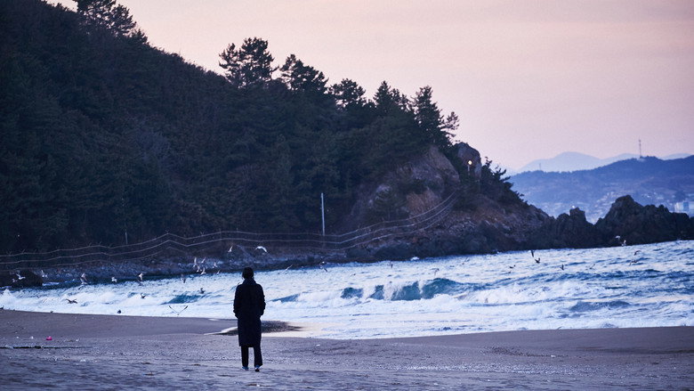 On the Beach at Night Alone backdrop 6