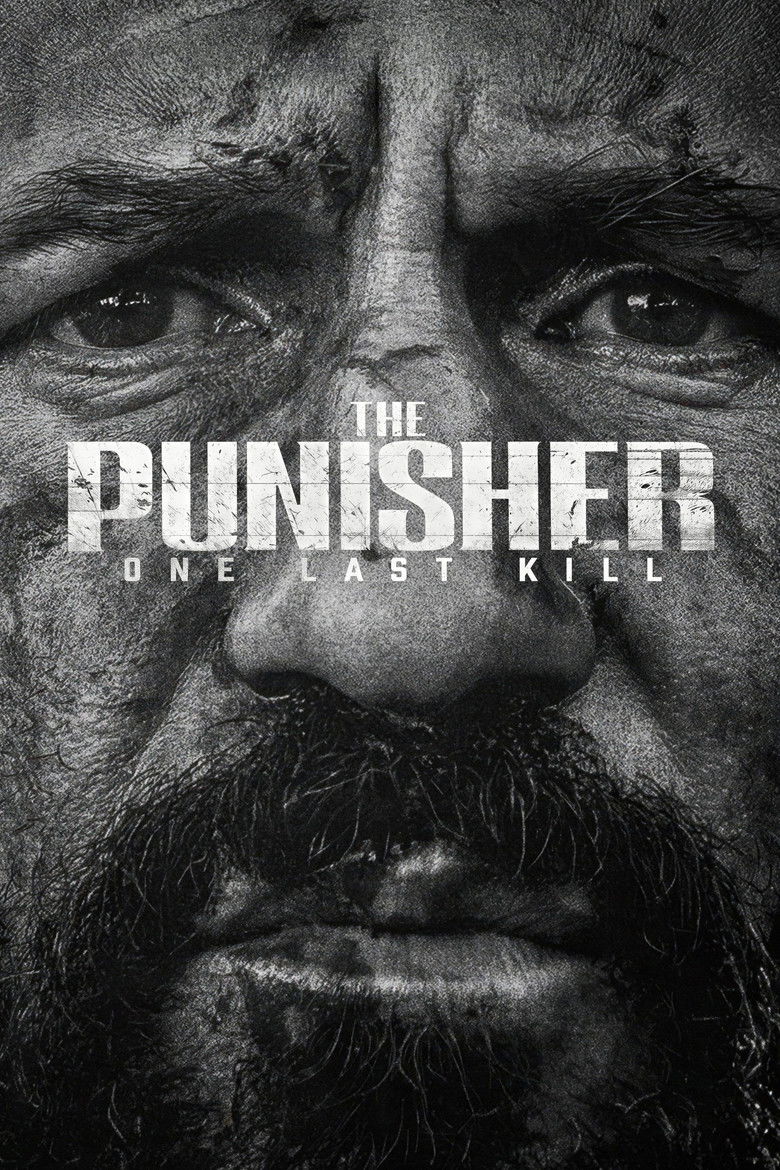 The Punisher: One Last Kill