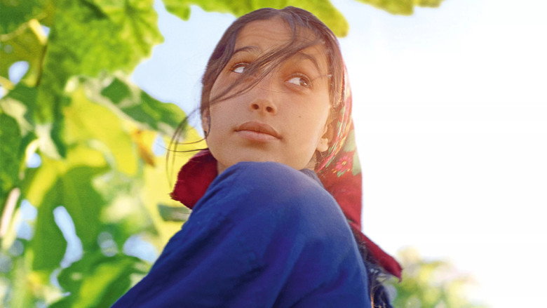 Under the Fig Trees backdrop 6