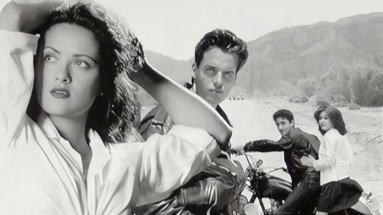 Rebel Highway Series