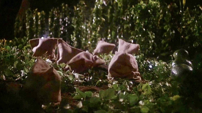 Motel Hell backdrop 6