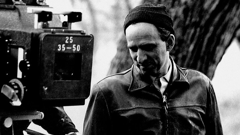 Bergman's Video backdrop 5
