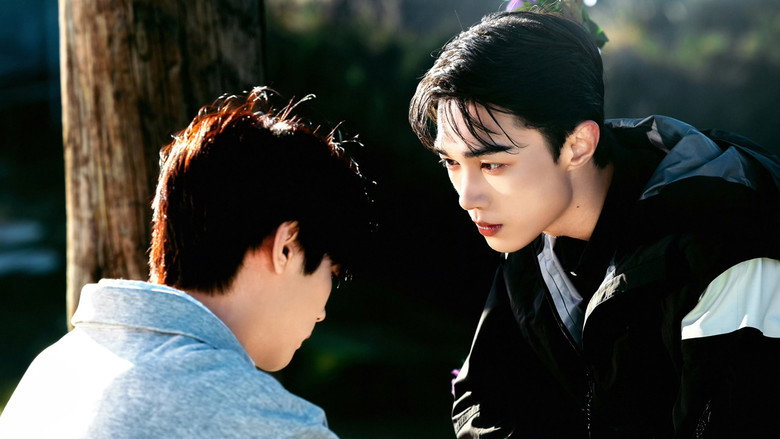 The Gaze backdrop 2