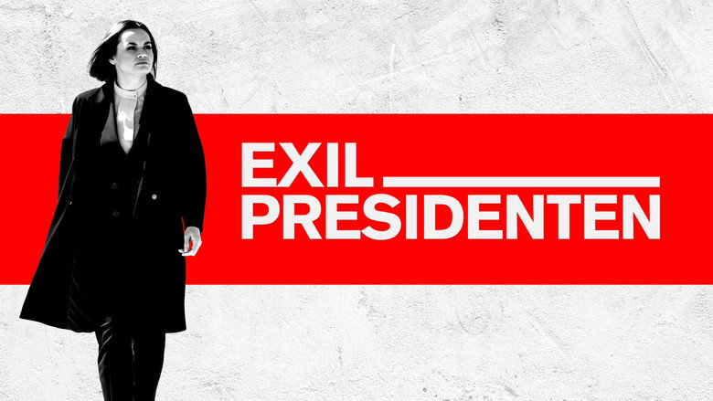 The Accidental President backdrop 3