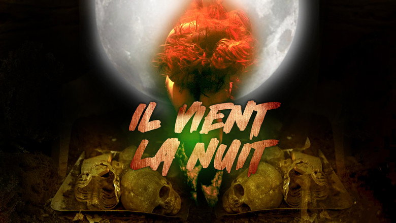In the Light of the Night backdrop 5