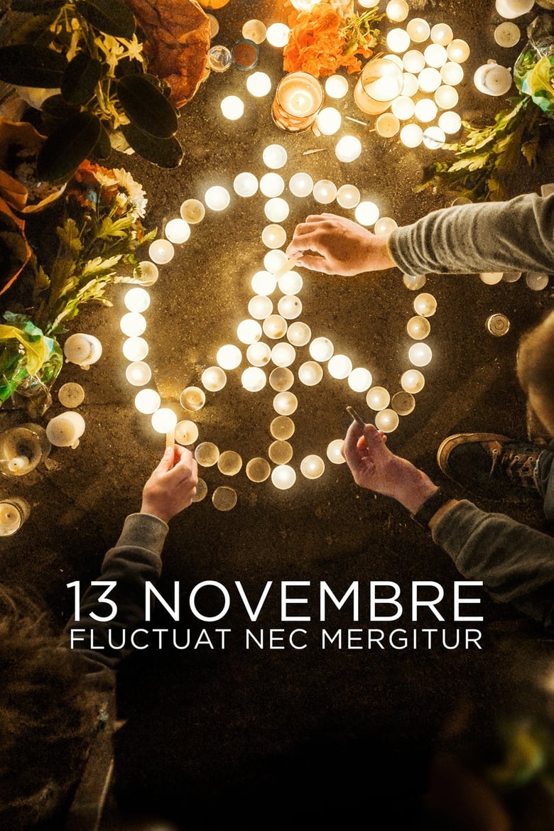 Serie streaming | 13 novembre : Fluctuat nec mergitur en streaming