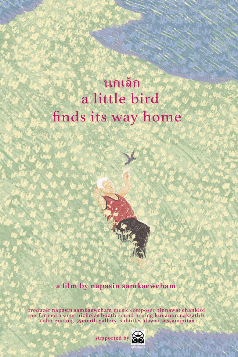 a little bird finds its way home