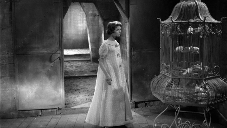 Eyes Without a Face backdrop 7
