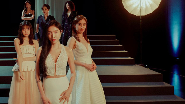 Born for the Spotlight backdrop 5