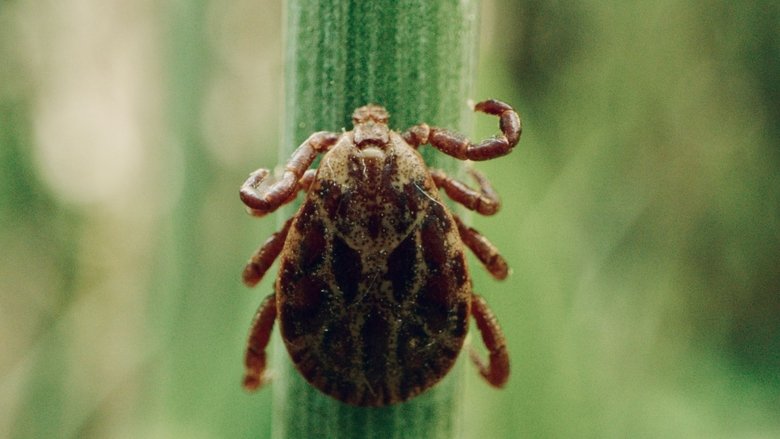 Paul-Aurélien Combre