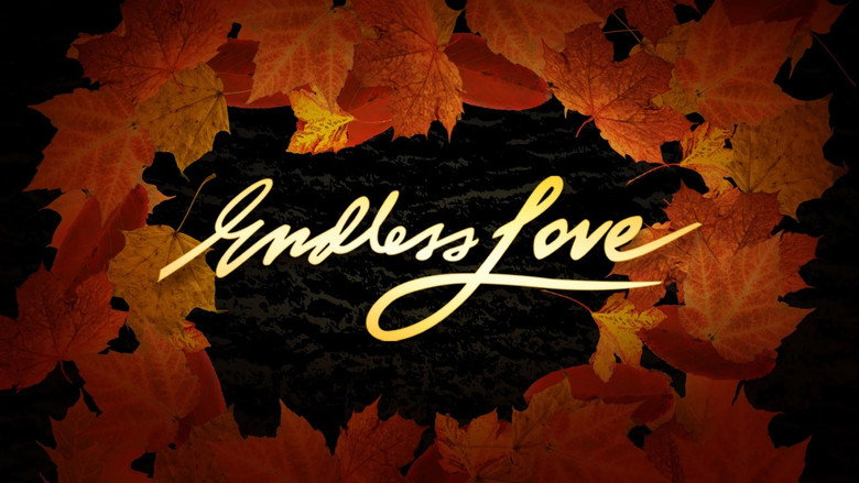 Endless Love backdrop 2