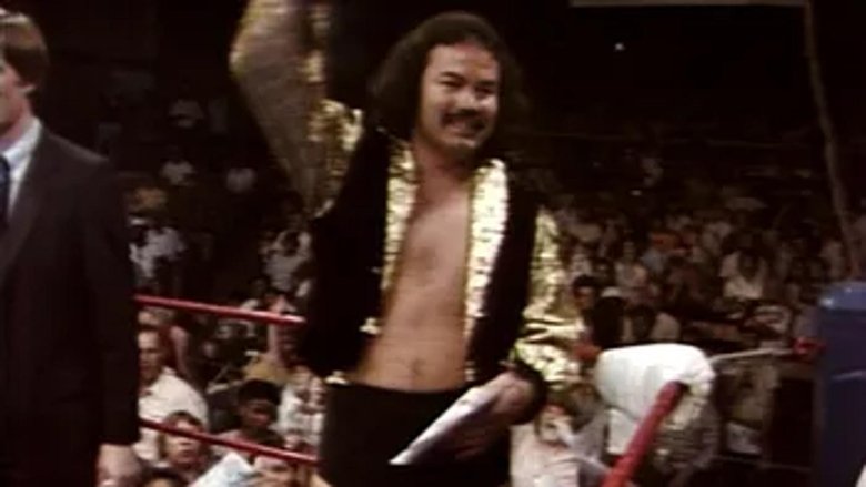 WCCW - June 26, 1982