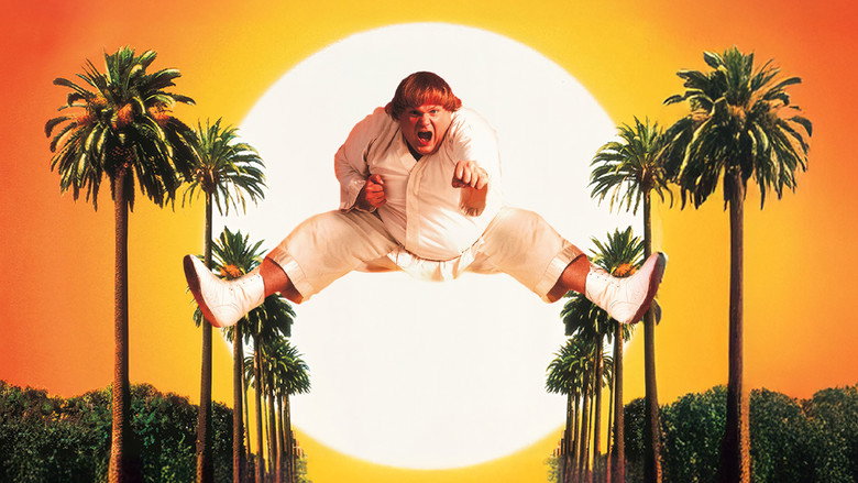 Beverly Hills Ninja backdrop 8