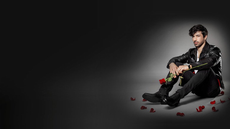 The Bachelor (BG) backdrop 6