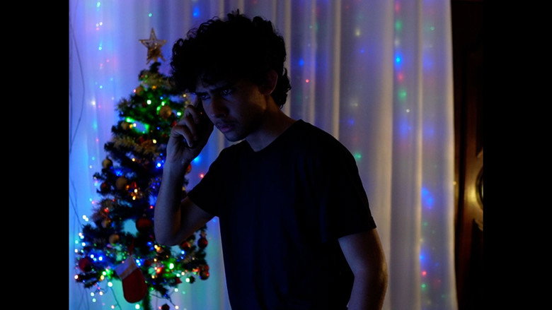 Laços de Natal backdrop 4