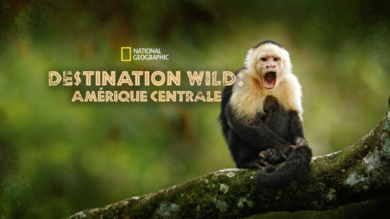 Wild Central America backdrop 7