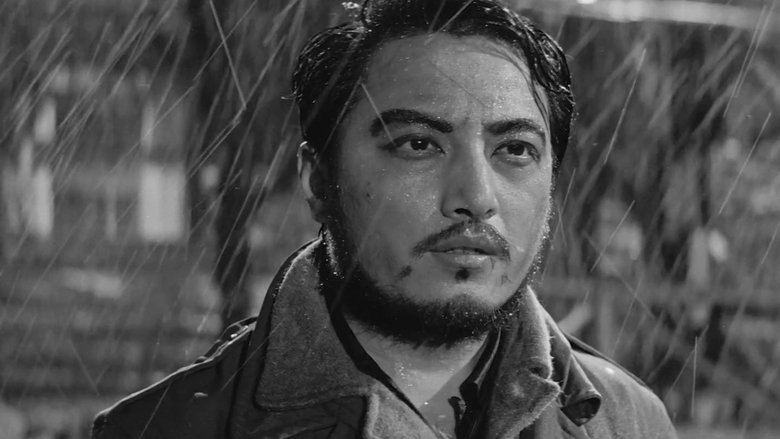 Pan Lei