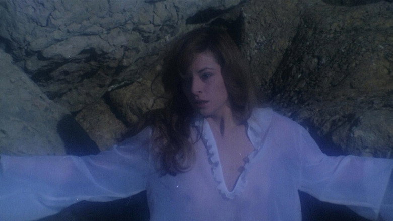 Night of the Seagulls backdrop 3
