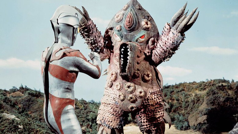 A Choju Dances on a Sea of Rainbow