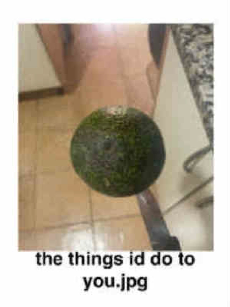 the things id do to you