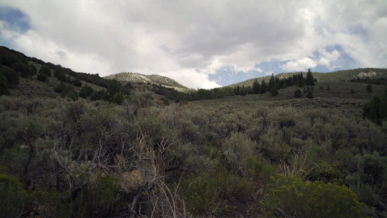 Horror in the High Desert backdrop 2