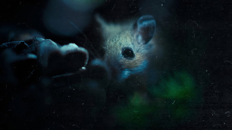 Nightmares of Nature backdrop 8