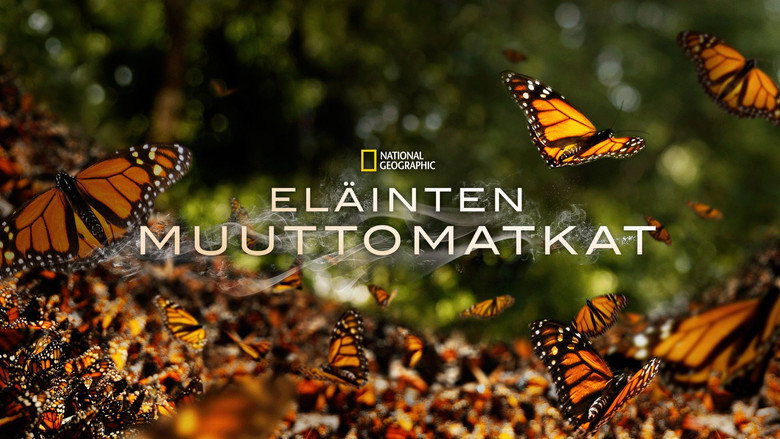 Great Migrations backdrop 8