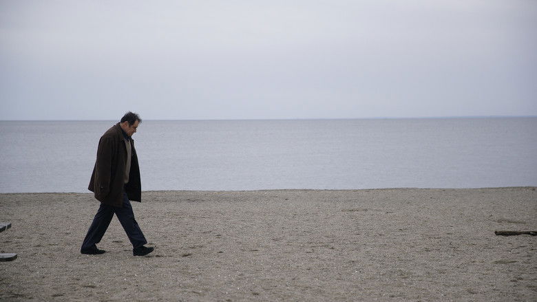 Auggie na stiahnutie zadarmo