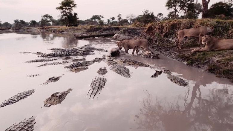 Katavi Africa's Fallen Paradise backdrop 4