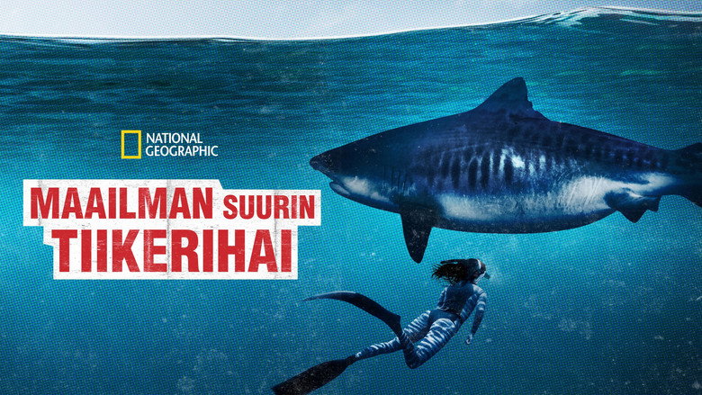 World's Biggest Tiger Shark backdrop 7