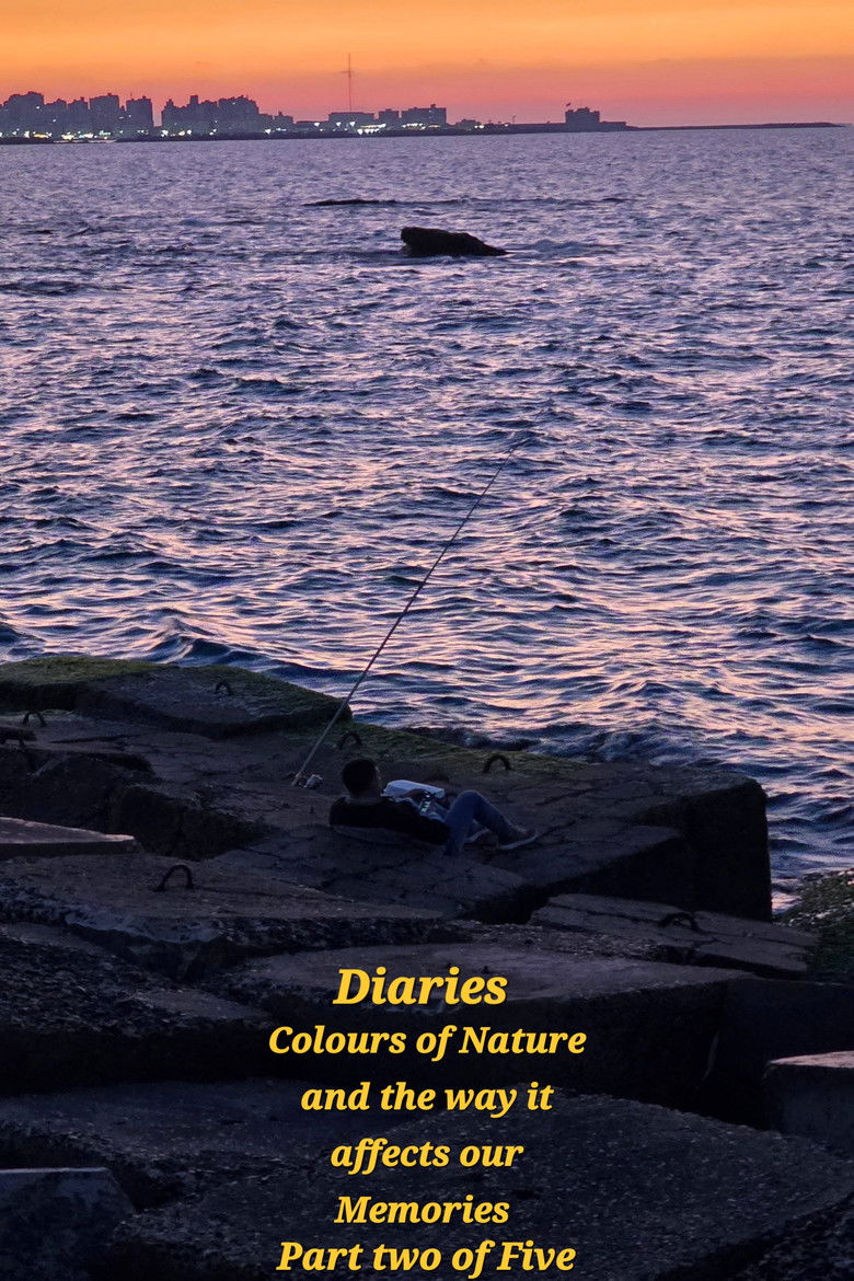 Diaries: Colours of Nature and the Way It Affects Our Memories.