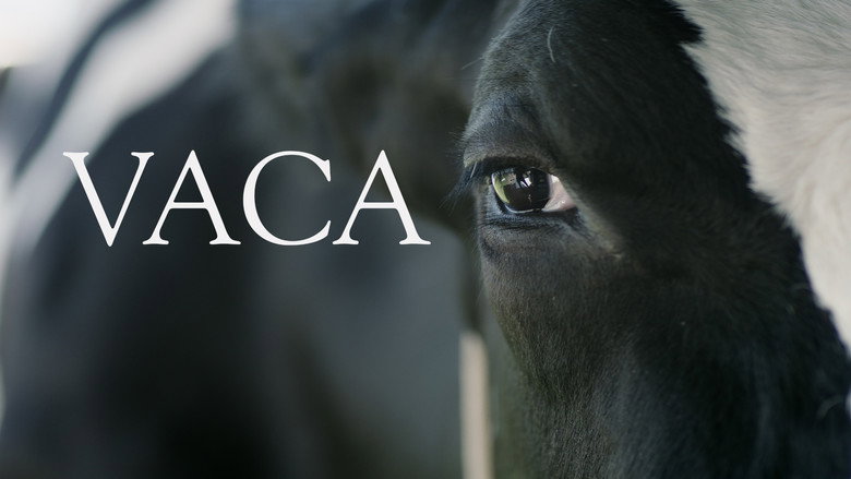 Vaca backdrop 2