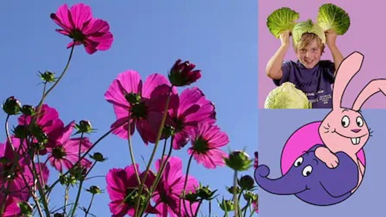 /bMwFMcM2xTybsKNcDdVpbnJutpS.jpg