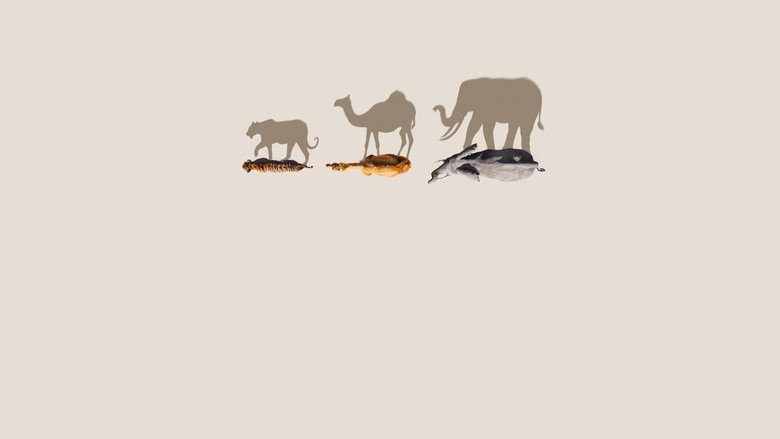 Mammals backdrop 7