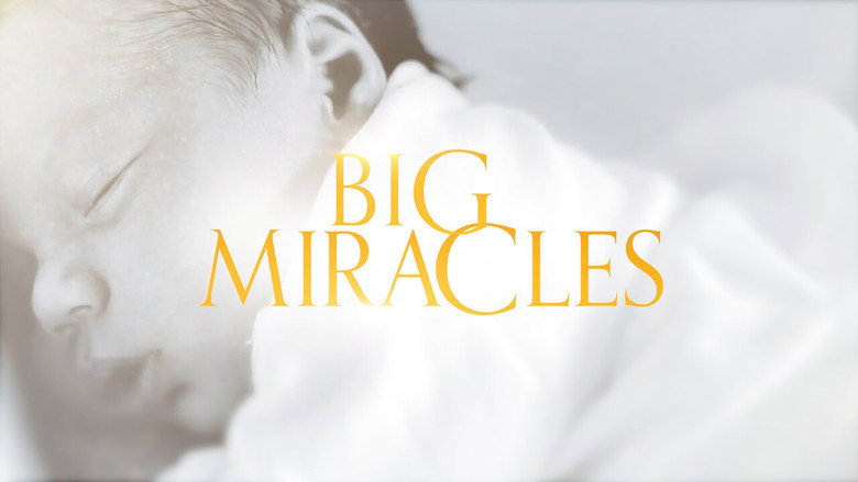 Big Miracles backdrop 2