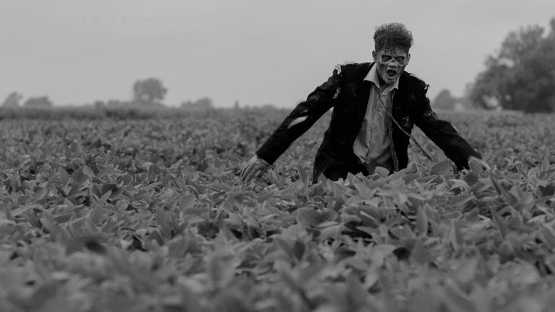 Vampire Zombies...from Space! backdrop 5