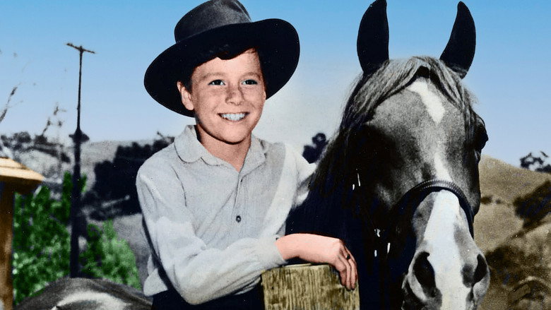 My Friend Flicka backdrop 2