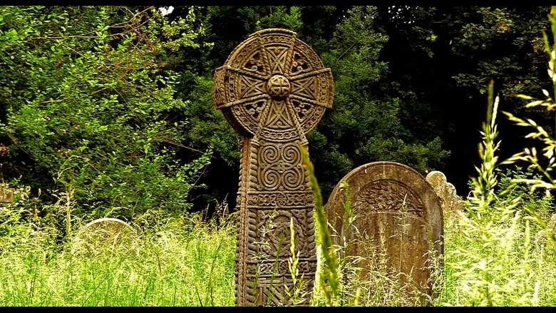 In Search of the Dead