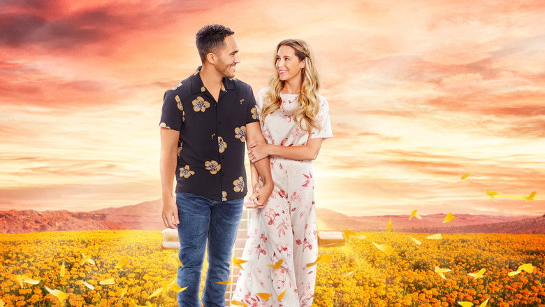 Love in the Limelight backdrop 2