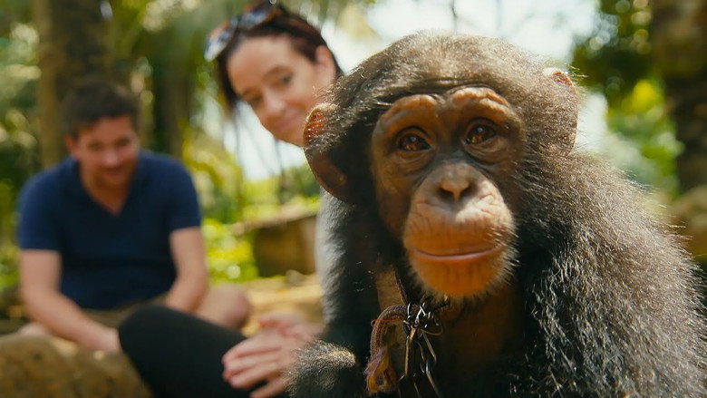 Baby Chimp Rescue backdrop 3