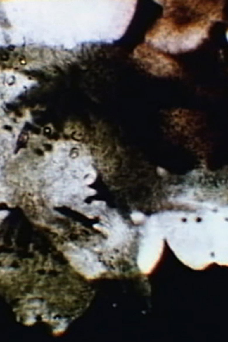 it's easier to pick sours than sweets