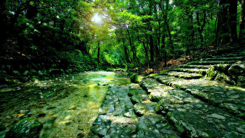 In Between Mountains and Oceans backdrop 3