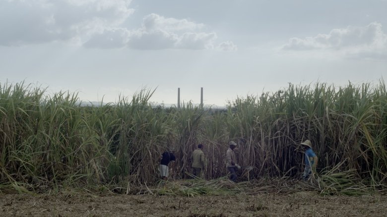 Feguenson Hermogène