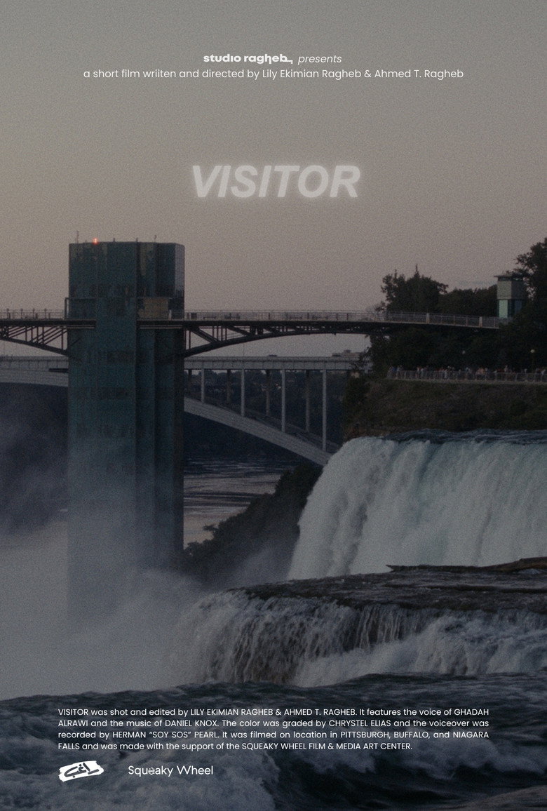 Visitor